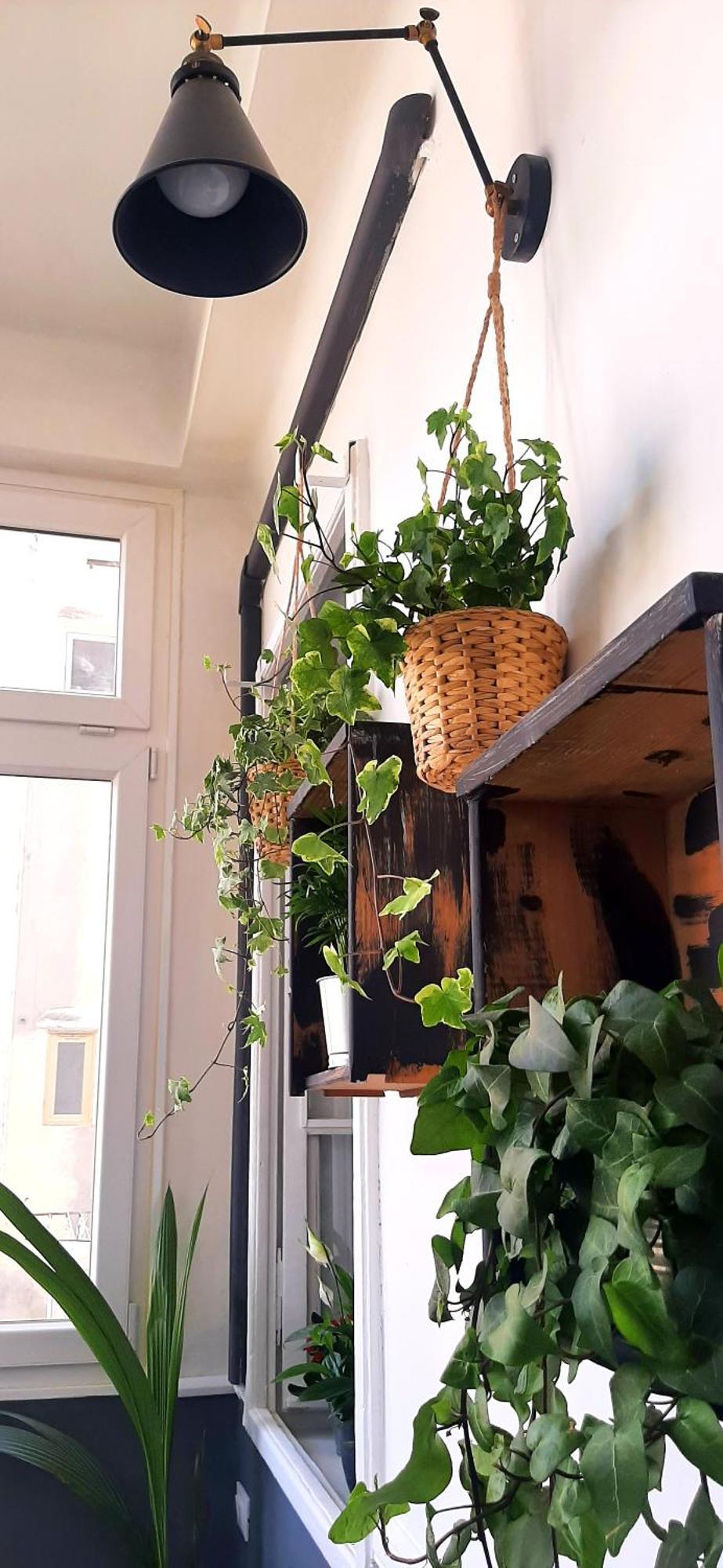 Ferienwohnung Saint Jack Luxury Triest Exterior foto